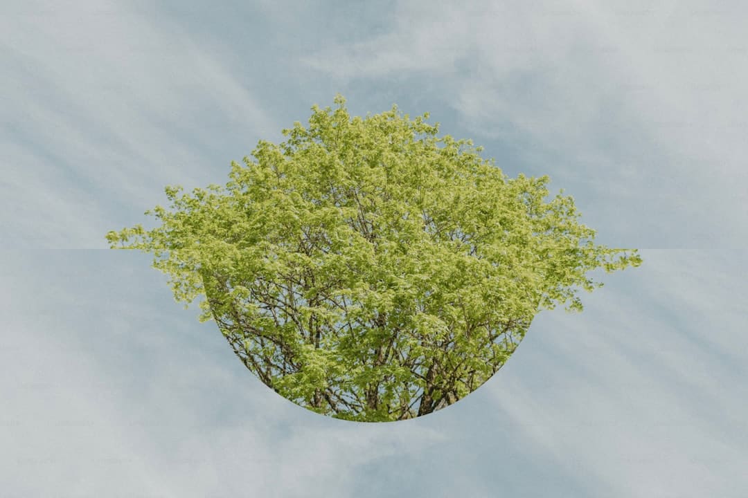 商业头条No.90
